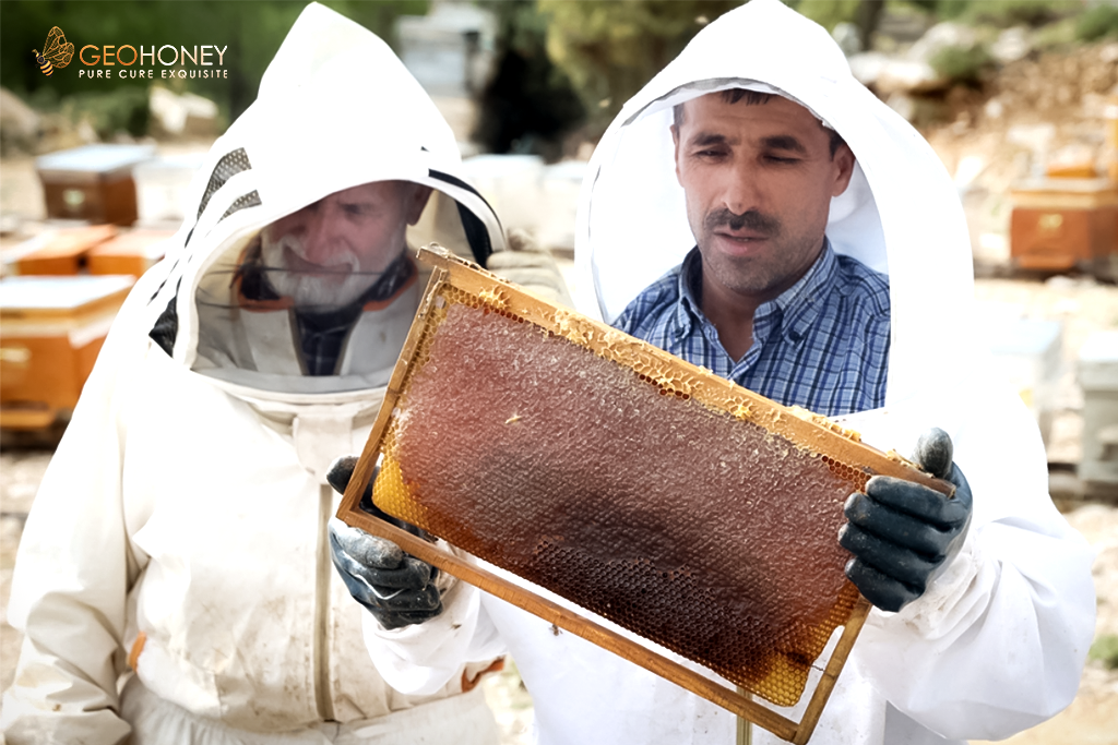 Reason why french beekeepers face worst production of honey